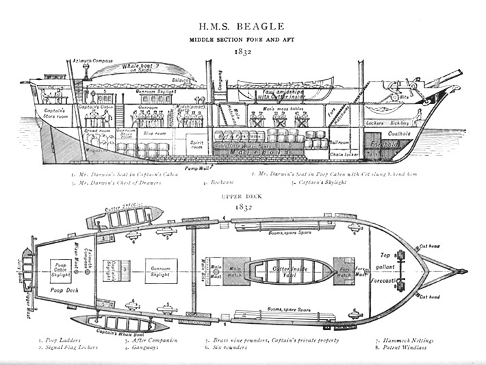 Plan of the Beagle (Charles Darwin's Ship)