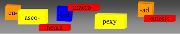 Suffix Prefix Dictionary Online Biology Dictionary